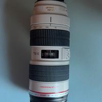 Canon EF 70-200mm f/2.8 L IS USM