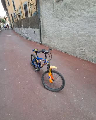 Bicicletta bambino