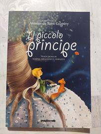 libro Piccolo Principe 