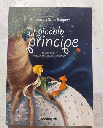 libro Piccolo Principe 