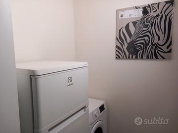 Mono appena ristrutturato