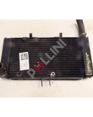 Radiatore (motociclo) Suzuki (ciclomotori) Gsf
