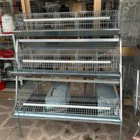 Gabbia conigli 3 piani nuova zincata