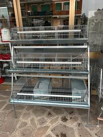 Gabbia conigli 3 piani nuova zincata