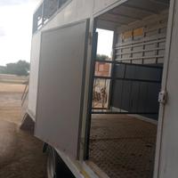 trasporto animali patente b