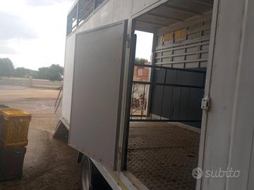 trasporto animali patente b