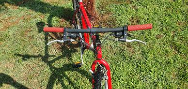 bicicletta 