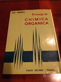 Piccin chimica organica 