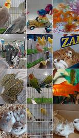 Uccelli/conigli/criceti/pesci ecc