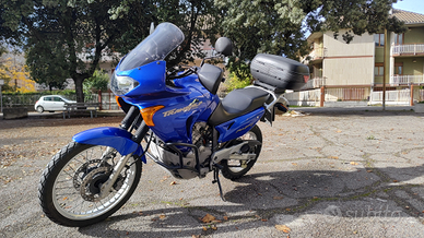 Honda Transalp 650 XL