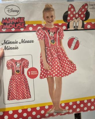 Costume di carnevale per bambina