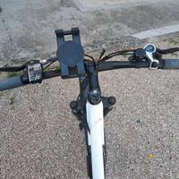 bicicletta elettrica