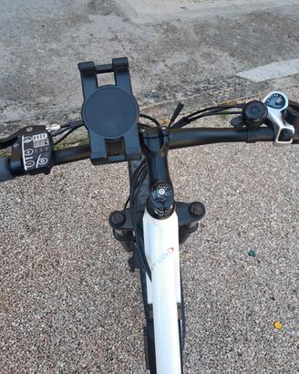 bicicletta elettrica