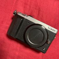 Lumix Gx80 Panasonic 6100 scatti