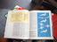 Immagine 5