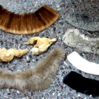 7 COLLI PELLICCIA CAPPELLI Boa VOLPE testa visone?