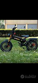 Bici elettrica