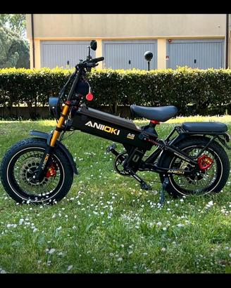 Bici elettrica