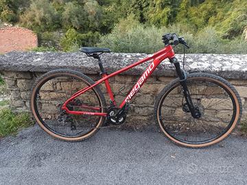 Mountain Bike Megamo DX3
