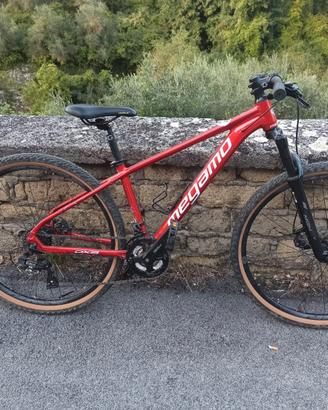 Mountain Bike Megamo DX3
