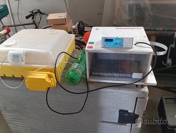 2 incubatrici 