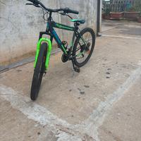 Mountain climb bike