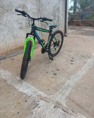 Mountain climb bike