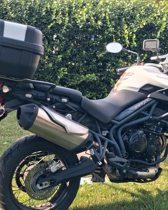 triumph tiger800xc 