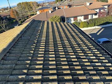 Tegole Wierer coppo di Grecia