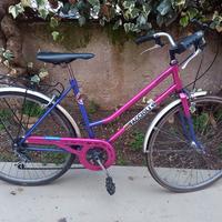 Bici Faccioli