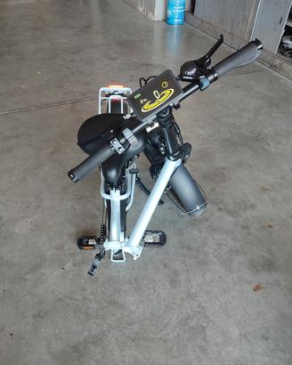 Bici elettrica 