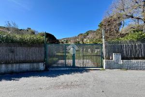TER. AGRICOLO A SPOTORNO