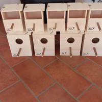 Nidi per riproduzione