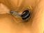 Immagine 6