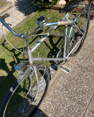 Bici chesini
