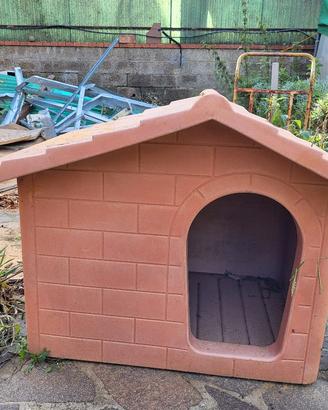 2 CUCCE E 2 TRASPORTINI