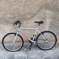 Bici  ruote del 26
