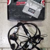 RAPID BIKE EVO EXCLUSIVE per DUCATI PANIGALE V2
