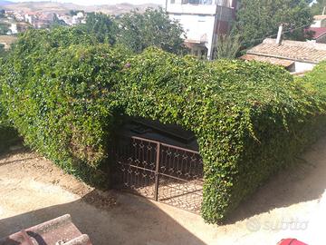 CASA con BOX in Contrada ULMI A SALEMI