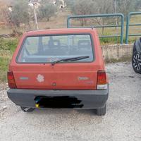 fiat panda yang