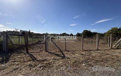 Terreno agricolo