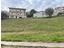 Immagine 10