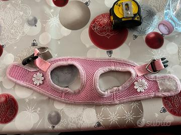 Pettorine cani piccola taglia