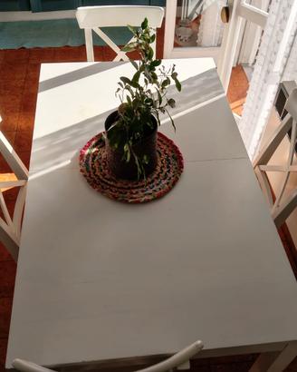 Tavolo e 4 sedie