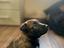 Immagine 6
