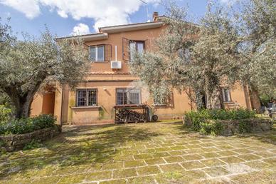 3 LOCALI A PALOMBARA SABINA