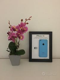 iPhone 5C Blue A1507 Disassemblato e Incorniciato