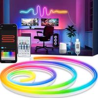 striscia LED neon