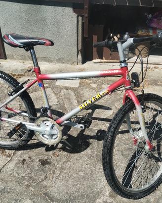 Mountain bike 24 