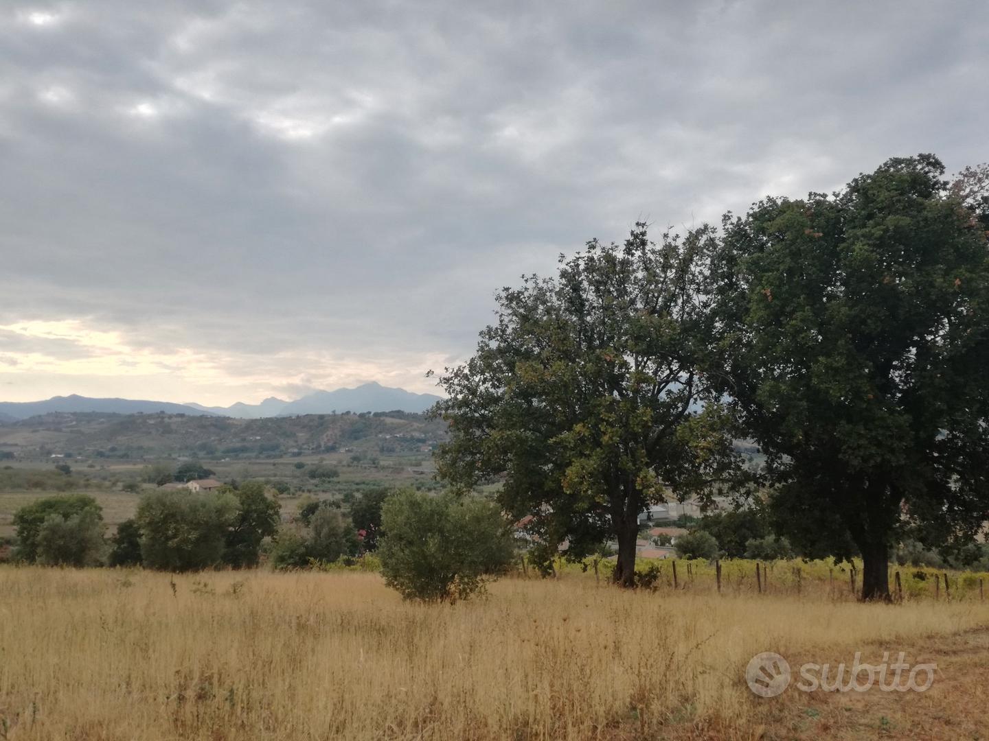Terreno in zona collinare e panoramica - Vista 3